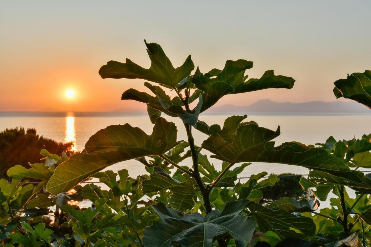Albeca Boutique Hotel - Relais De Charme Sul Mare Castellabate Dış mekan fotoğraf