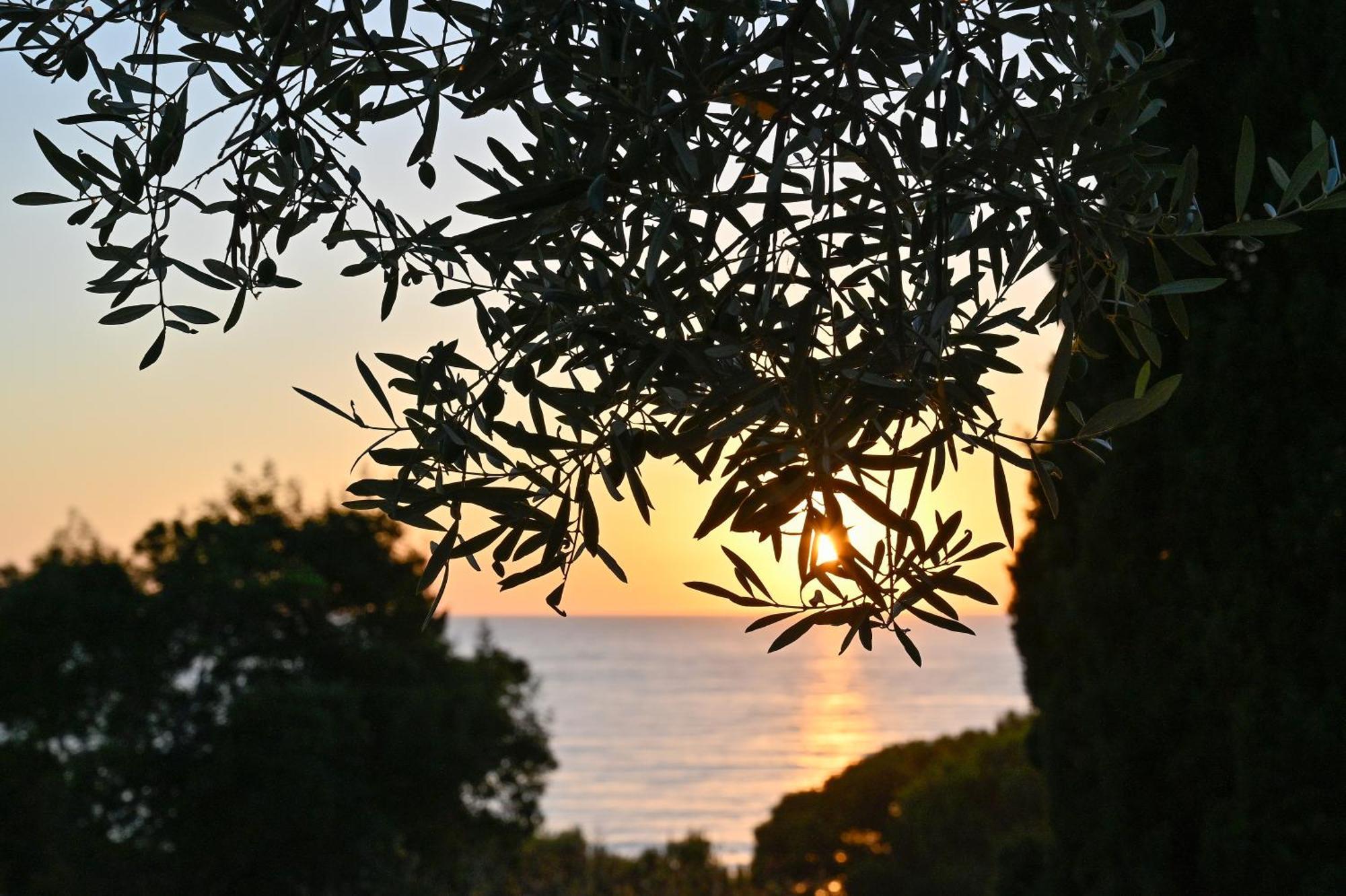 Albeca Boutique Hotel - Relais De Charme Sul Mare Castellabate Dış mekan fotoğraf