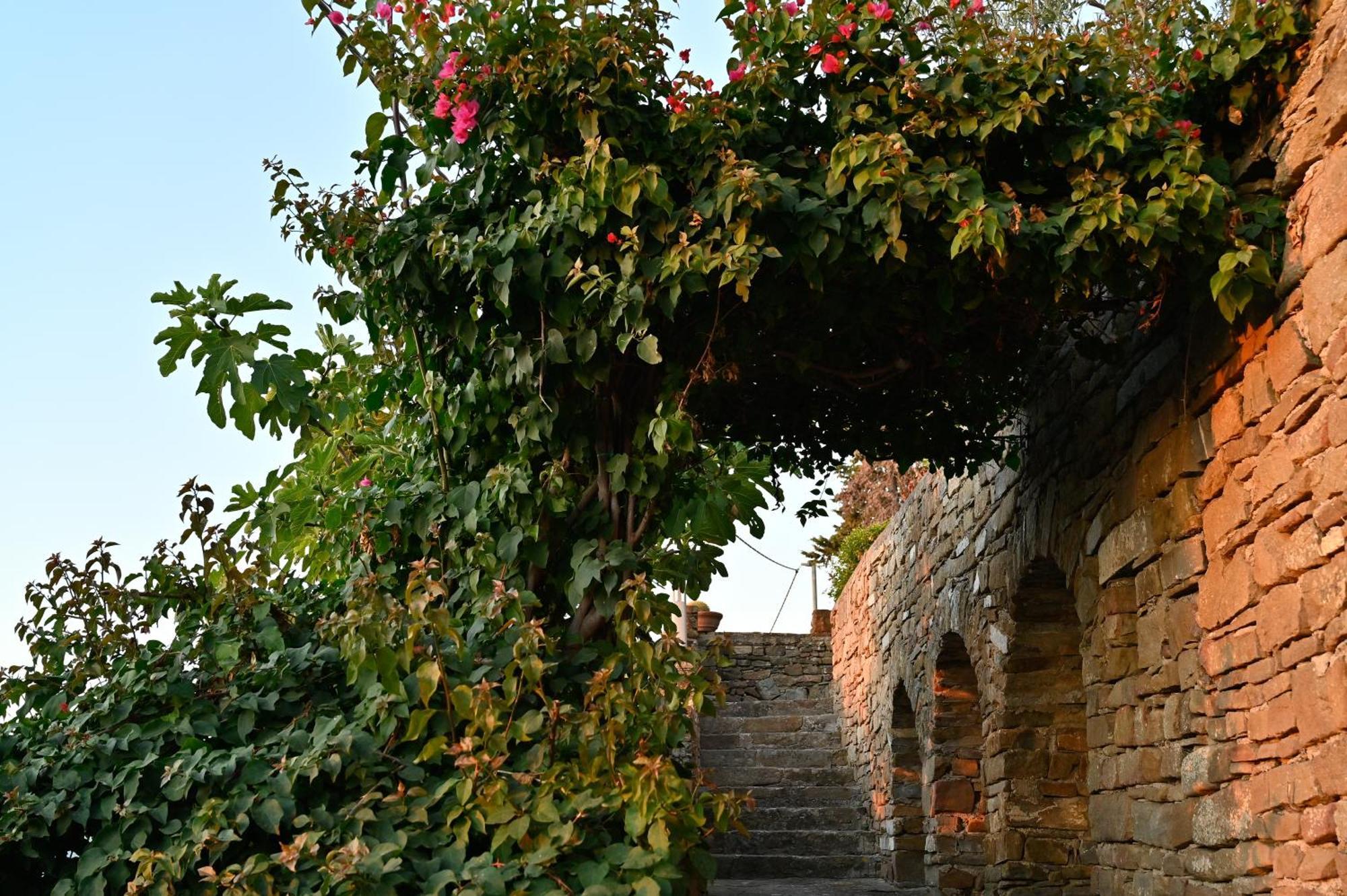 Albeca Boutique Hotel - Relais De Charme Sul Mare Castellabate Dış mekan fotoğraf